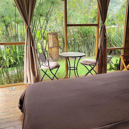 Вилла Exclusivo Cocora Con Jacuzzi Salento Quindio Экстерьер фото