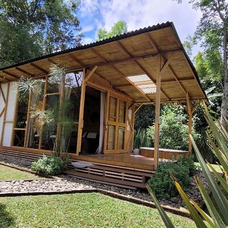 Вилла Exclusivo Cocora Con Jacuzzi Salento Quindio Экстерьер фото