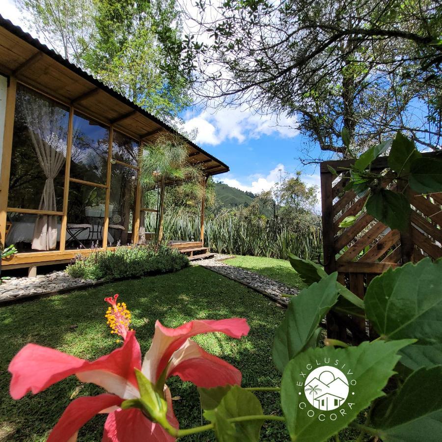 Вилла Exclusivo Cocora Con Jacuzzi Salento Quindio Экстерьер фото
