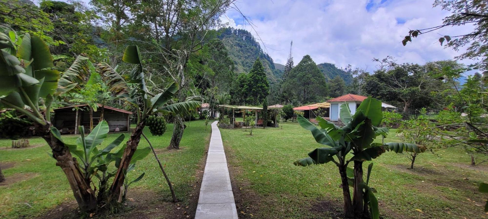 Вилла Exclusivo Cocora Con Jacuzzi Salento Quindio Экстерьер фото