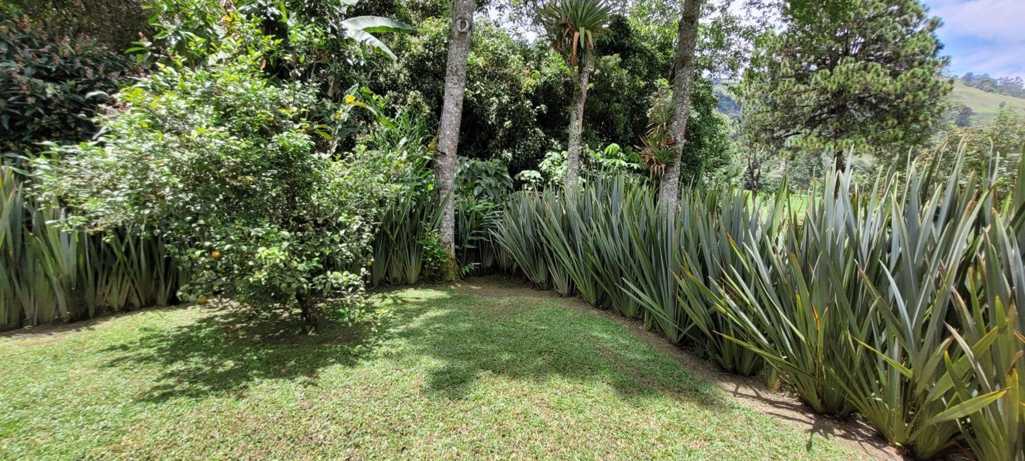 Вилла Exclusivo Cocora Con Jacuzzi Salento Quindio Экстерьер фото